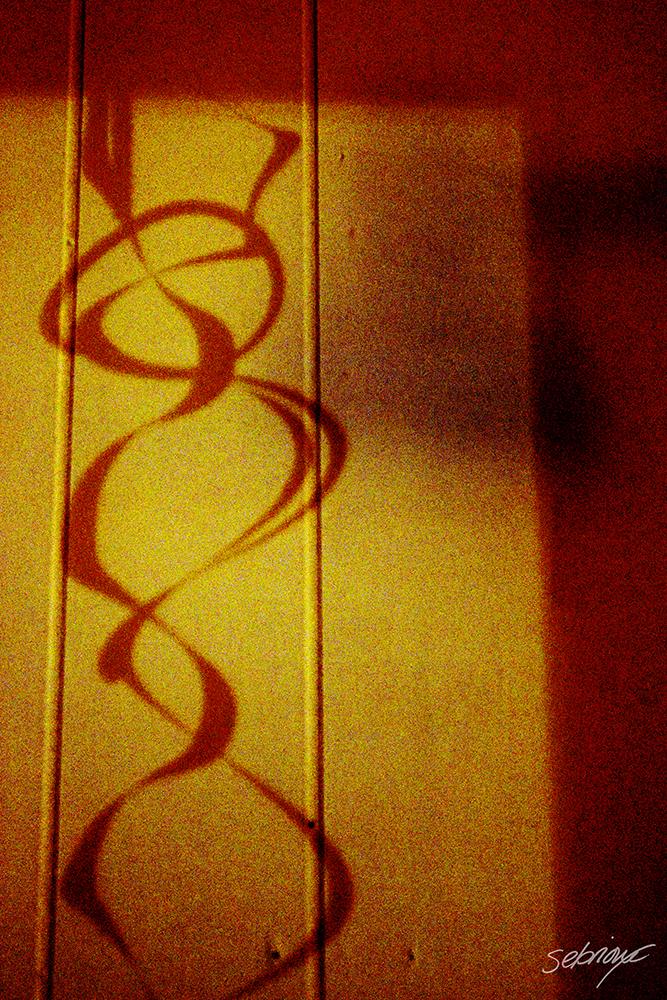 untitled-1_signed_web